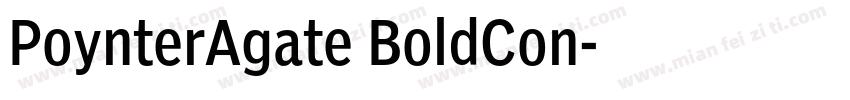 PoynterAgate BoldCon字体转换